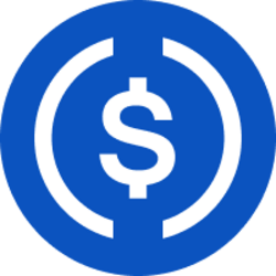 USDC icon